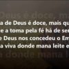 a palavra de deus e um tesouro h