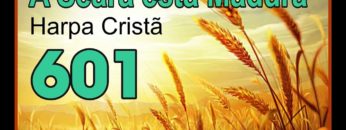 A Seara está madura – Harpa Cristã 601
