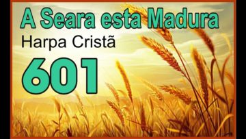 A Seara está madura – Harpa Cristã 601