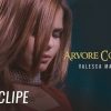 arvore cortada valesca mayssa