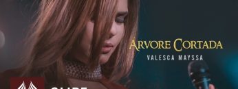 arvore cortada valesca mayssa