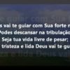 deus vai te guiar harpa crista 0