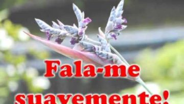 Fala Jesus Querido – Harpa Cristã 151