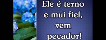 O Salvador me Achou – Harpa Cristã 397