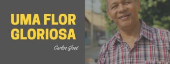 Uma Flor Gloriosa – Harpa Cristã 196