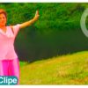 voar como a aguia alda celia